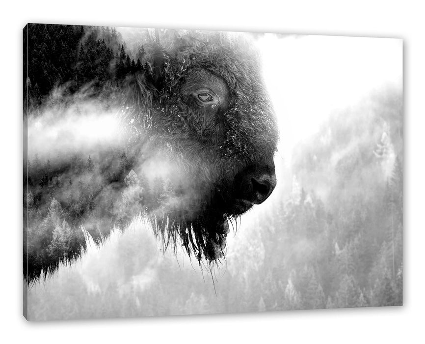 Pixxprint Wildes Bison in nebeligem Wald, Monochrome, Leinwandbild