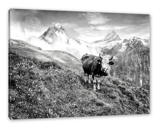 Kuh auf grüner Alm in den Bergen, Monochrome Leinwanbild Rechteckig
