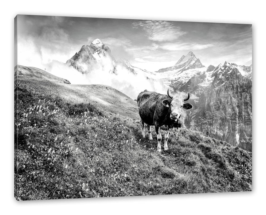 Pixxprint Kuh auf grüner Alm in den Bergen, Monochrome, Leinwandbild