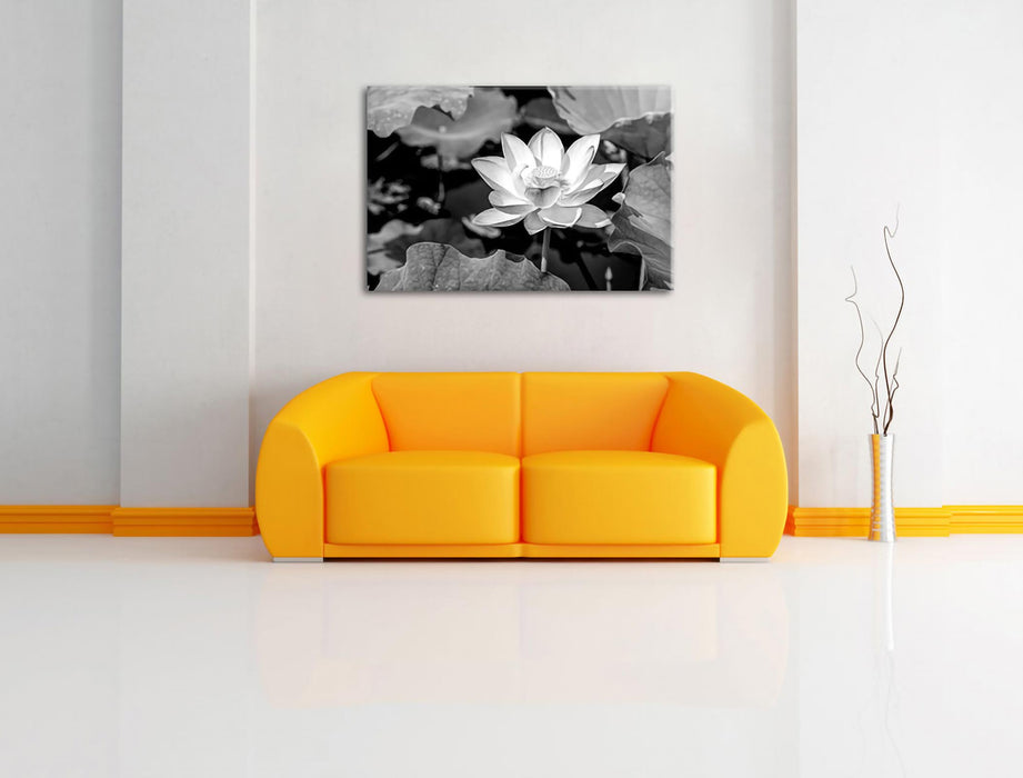 Rosa blühender Lotus Nahaufnahme, Monochrome Leinwanbild Wohnzimmer Rechteckig