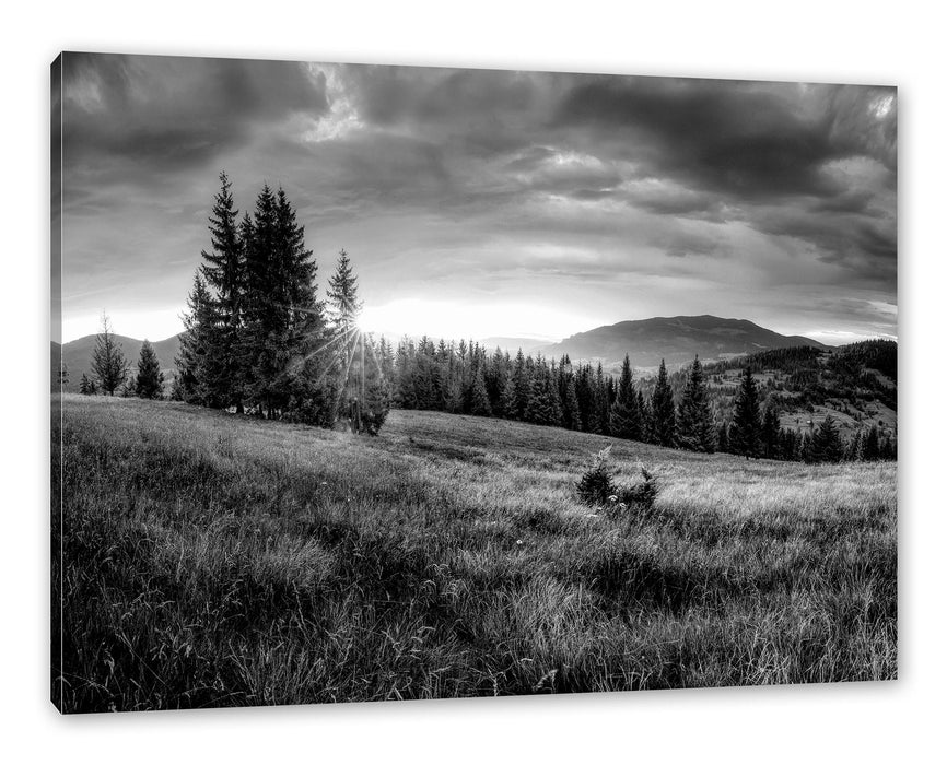 Pixxprint Wiesenlandschaft bei Sonnenuntergang, Monochrome, Leinwandbild