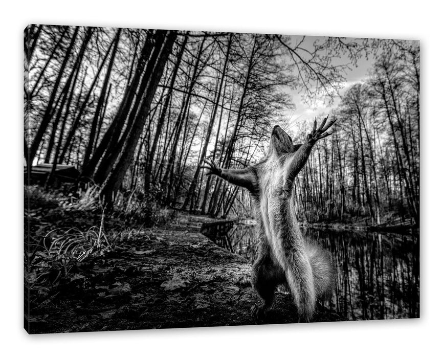 Pixxprint Lustiges Eichhörnchen steht im Wald, Monochrome, Leinwandbild