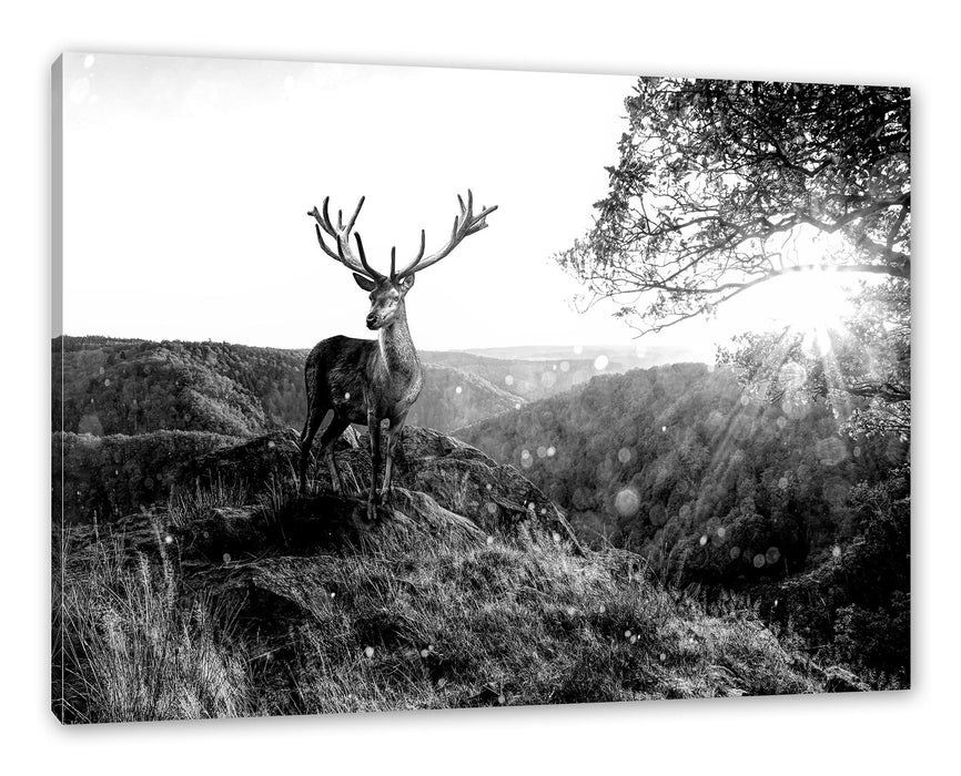 Pixxprint Anmutiger Hirsch bei Sonnenuntergang, Monochrome, Leinwandbild