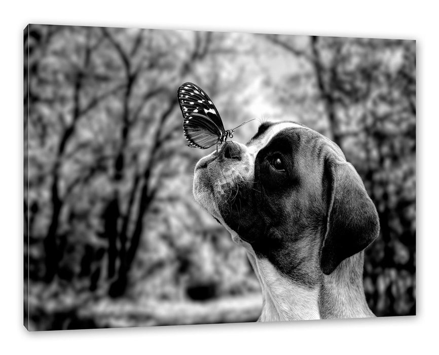 Pixxprint Welpe mit Schmetterling auf der Nase, Monochrome, Leinwandbild