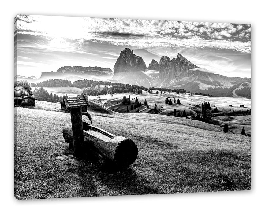 Pixxprint Wassertrog auf Wiese in den Dolomiten, Monochrome, Leinwandbild