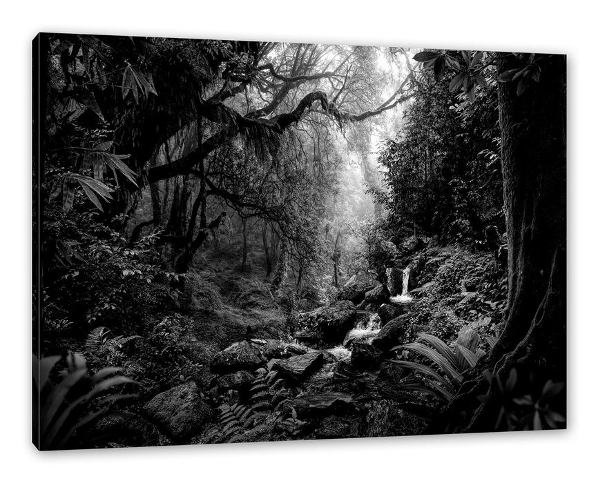 Kleinder Wasserfall im Dschungel, Monochrome Leinwanbild Rechteckig