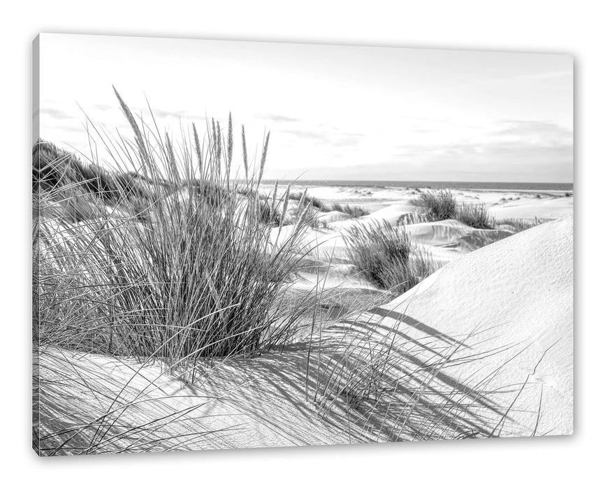 Pixxprint Grasige Dünenlandschaft am Meer, Monochrome, Leinwandbild