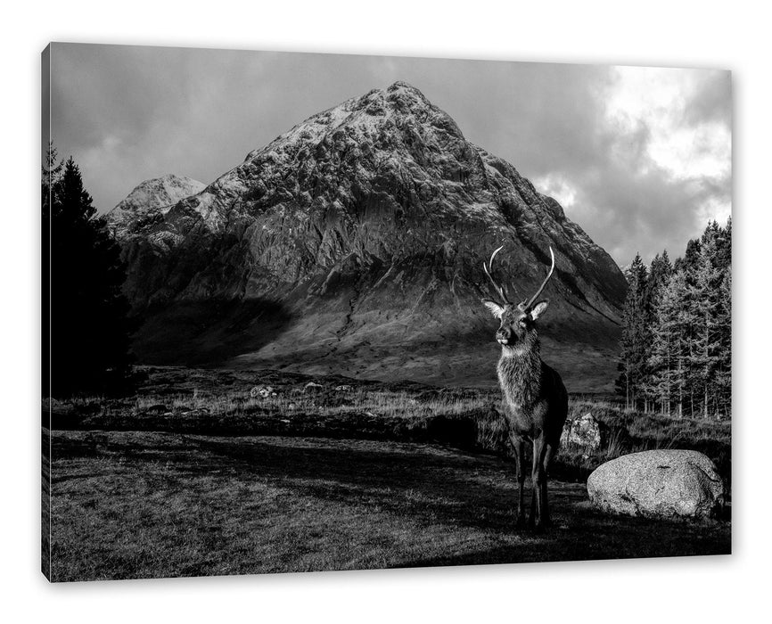 Pixxprint Einsames Rentier vor Berglandschaft, Monochrome, Leinwandbild