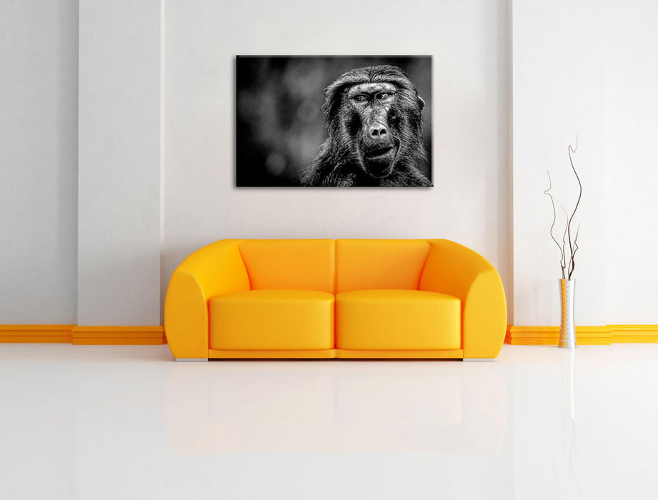 Skeptischer Affe schielt zur Seite, Monochrome Leinwanbild Wohnzimmer Rechteckig