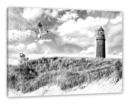 Möwen fliegen am Meer vor Leuchtturm, Monochrome Leinwanbild Rechteckig
