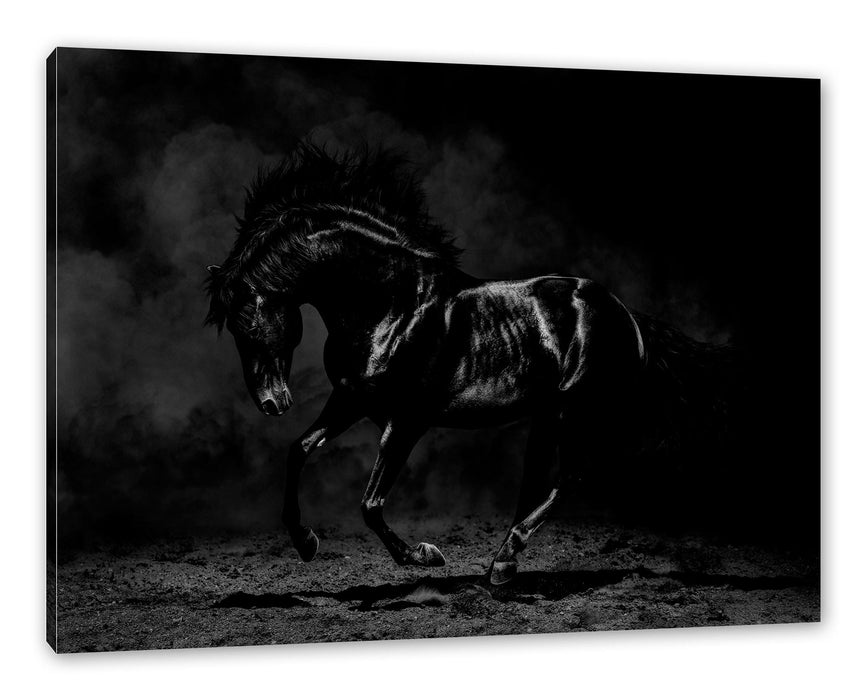 Edles galoppierendes schwarzes Pferd, Monochrome Leinwanbild Rechteckig