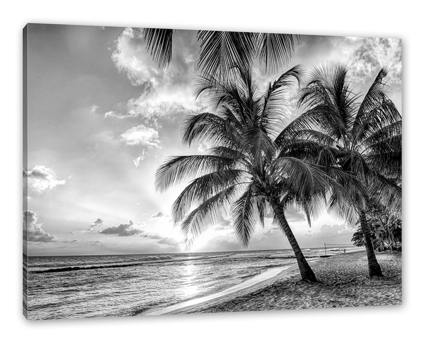 Pixxprint Palmen im Sonnenuntergang auf Barbados, Monochrome, Leinwandbild