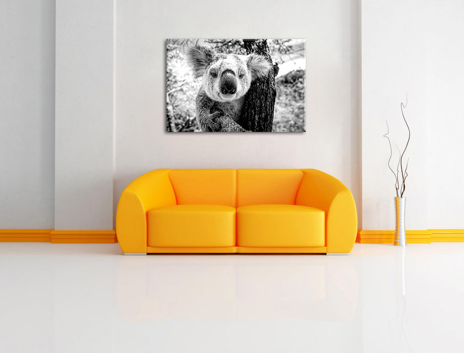 Neugieriger Koala am Baum Nahaufnahme, Monochrome Leinwanbild Wohnzimmer Rechteckig