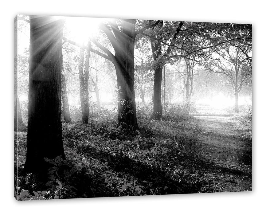 Pixxprint Sonnenstrahlen durch rote Herbstbäume, Monochrome, Leinwandbild