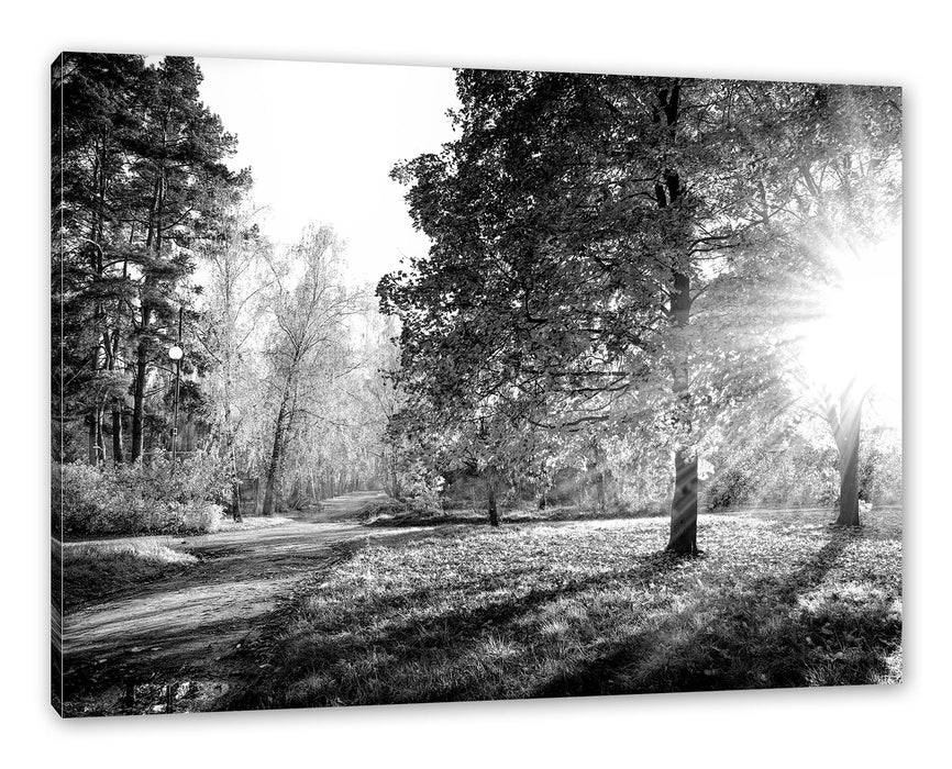 Pixxprint Weg durch bunten Herbstwald, Monochrome, Leinwandbild
