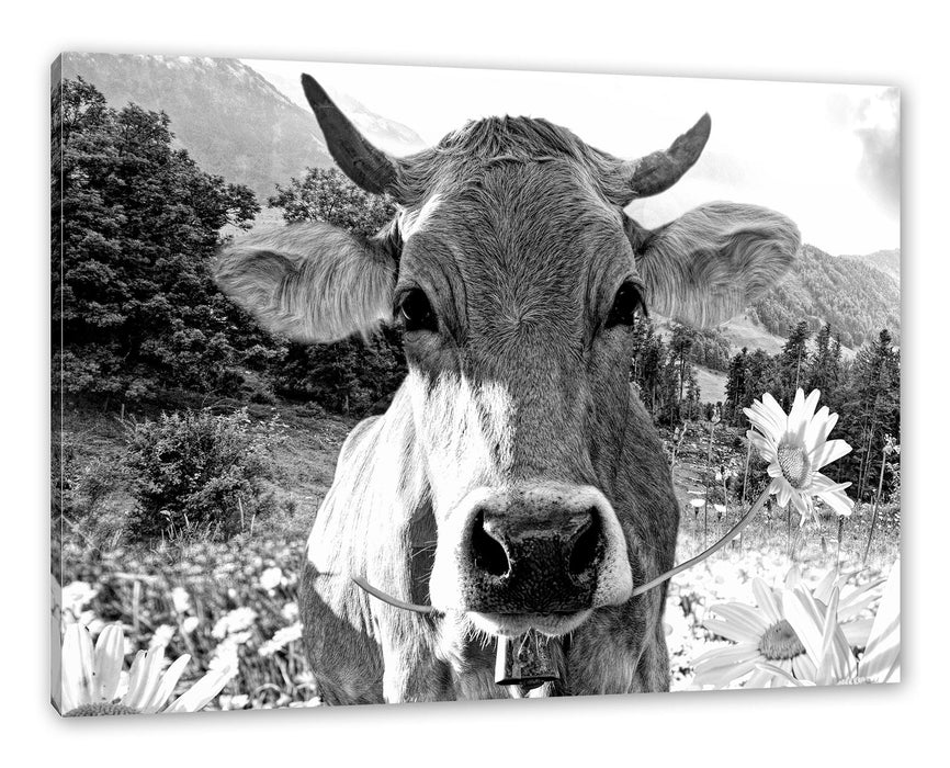 Nahaufnahme Kuh mit Margerite, Monochrome Leinwanbild Rechteckig