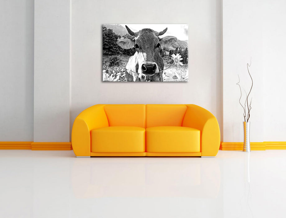 Nahaufnahme Kuh mit Margerite, Monochrome Leinwanbild Wohnzimmer Rechteckig