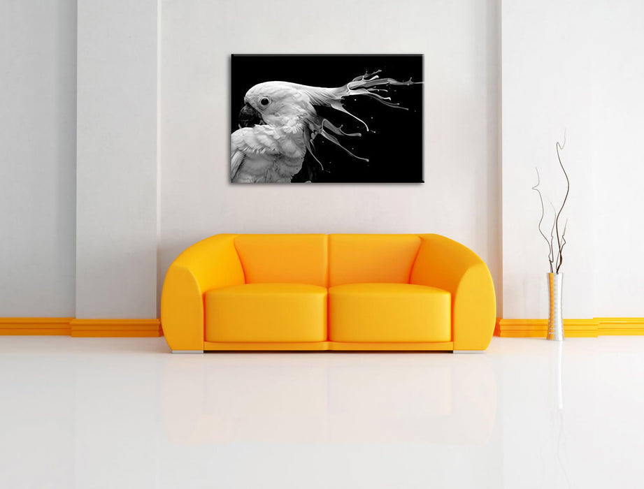 Papagei mit buntem Kamm, Monochrome Leinwanbild Wohnzimmer Rechteckig