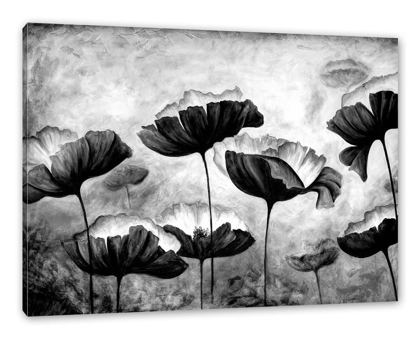 Pixxprint Mohnblumen gezeichnet, Monochrome, Leinwandbild