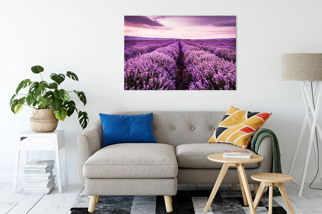 blühendes Lavendelfeld Leinwandbild Wohnzimmer Rechteckig
