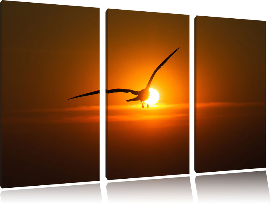 Möwe fliegt in den Sonnenuntergang Leinwandbild 3 Teilig
