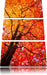 Feurige Herbstbläter Leinwandbild 3 Teilig