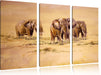 Elefanten in Südafrika Leinwandbild 3 Teilig