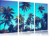 Tropische Palmen Leinwandbild 3 Teilig