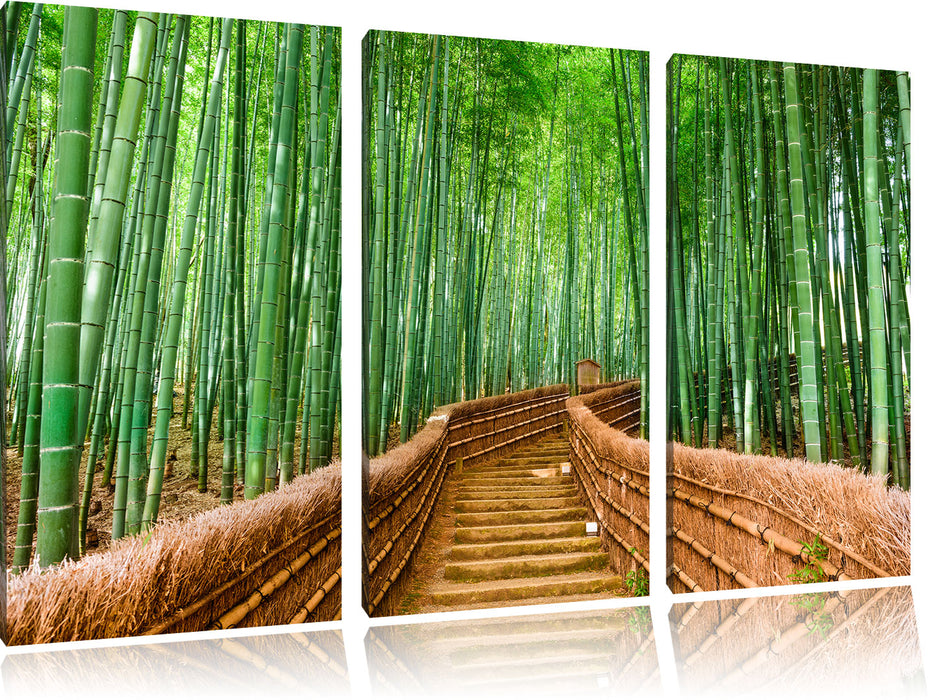 Kyoto Japan Bambuswald Leinwandbild 3 Teilig