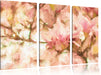 Magnolienblüten im Frühling Leinwandbild 3 Teilig