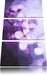 Blüten des Kirschbaumes Kunst Leinwandbild 3 Teilig
