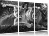 interessiertes Löwenpaar Kunst B&W Leinwandbild 3 Teilig
