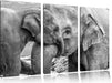 Elefantenmutter mit Kalb B&W Leinwandbild 3 Teilig