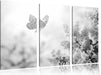 Schmetterling Kirschblüten B&W Leinwandbild 3 Teilig