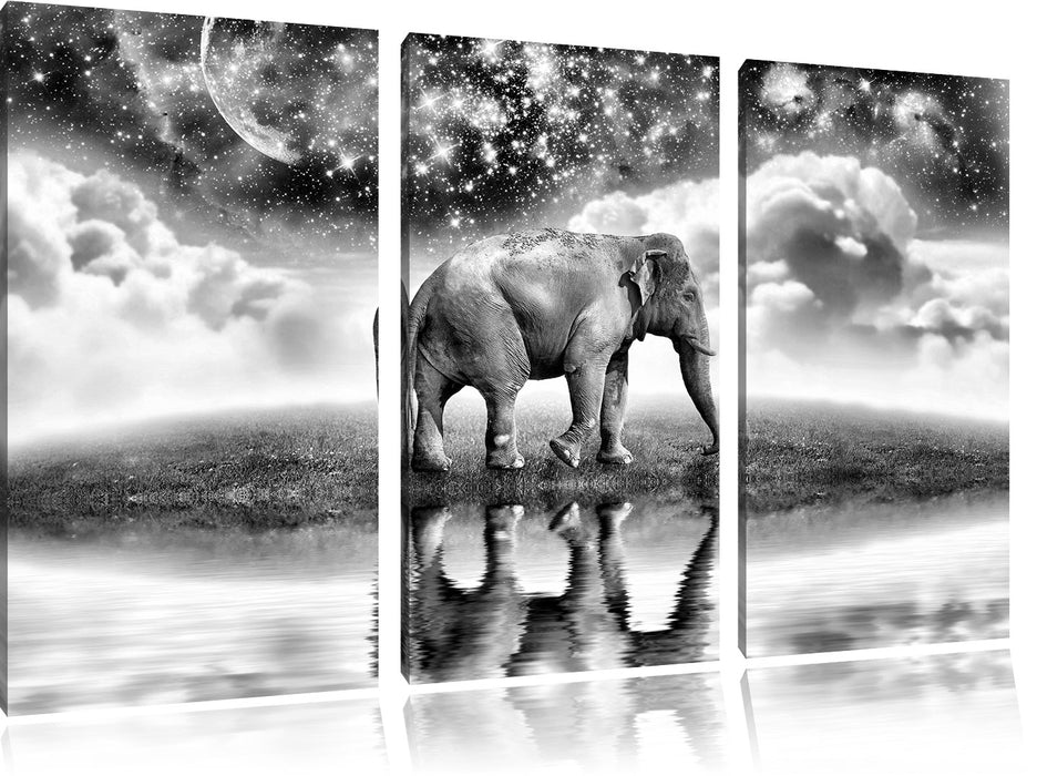 Elefant, Wiese, Himmel, Afrika Leinwandbild 3 Teilig