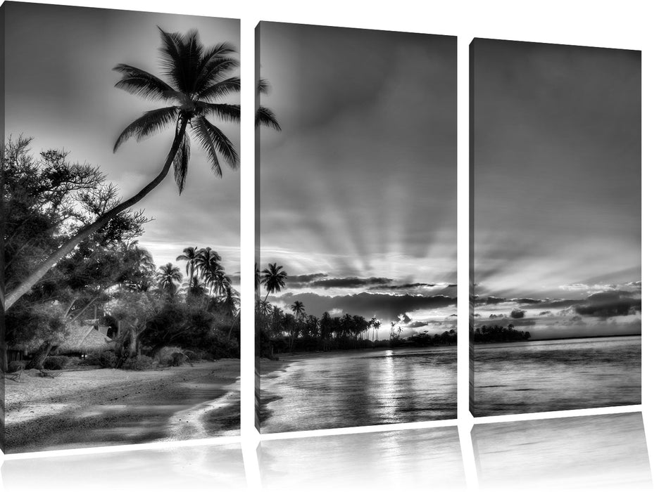 Palmen am Strand Leinwandbild 3 Teilig
