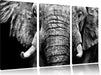 Elefant B&W Leinwandbild 3 Teilig