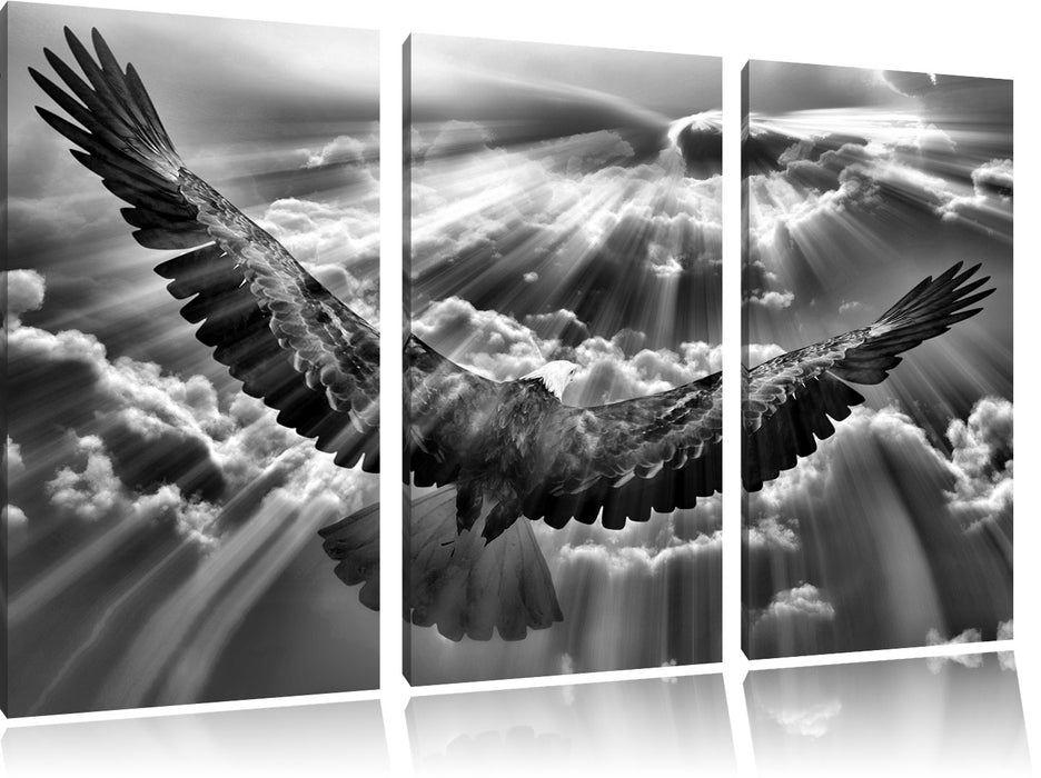 Adler über den Wolken B&W Leinwandbild 3 Teilig