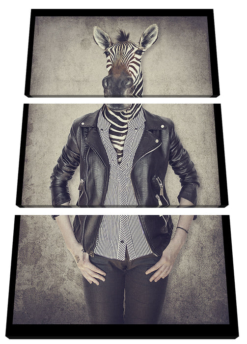 Zebrakopf Menschenkörper mit Lederjacke Leinwanbild 3Teilig