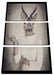Hirschkopf Menschenkörper im Pullover Leinwanbild 3Teilig