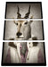 Antilopenkopf mit Menschenkörper Leinwanbild 3Teilig
