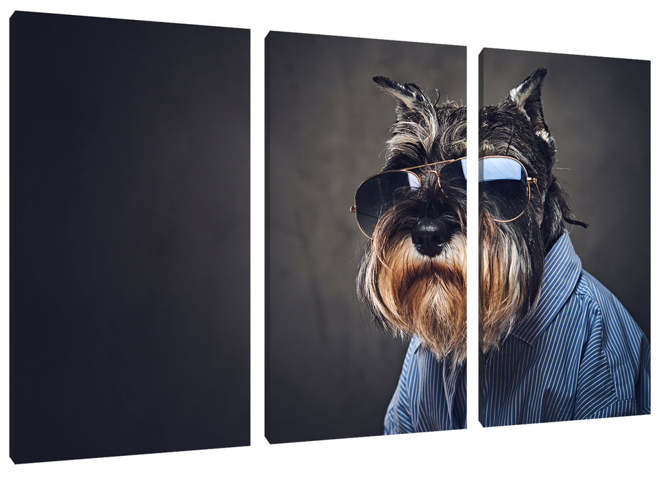 Lustiger Hund mit Hemd und Sonnenbrille Leinwanbild 3Teilig