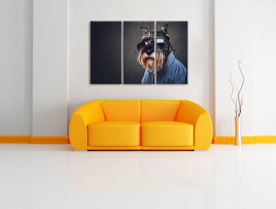 Lustiger Hund mit Hemd und Sonnenbrille Leinwanbild Wohnzimmer 3Teilig