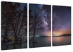 Bäume am See in sternenklarer Nacht Leinwanbild 3Teilig