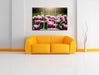 Nahaufnahme zweifarbige Tulpen Leinwanbild Wohnzimmer 3Teilig