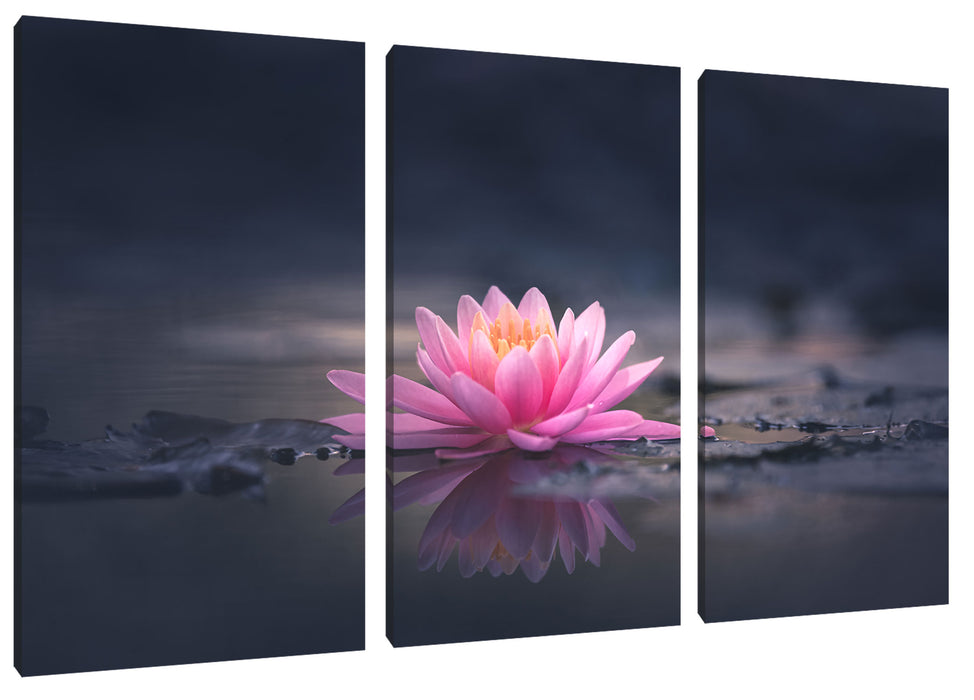 Leuchtende Lotusblüte auf grauer Pfütze Leinwanbild 3Teilig