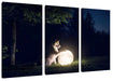 Hund mit leuchtendem Mond bei Nacht Leinwanbild 3Teilig
