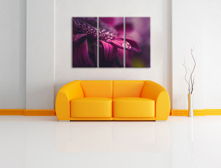 Nahaufnahme Tropfen auf lila Blume Leinwanbild Wohnzimmer 3Teilig