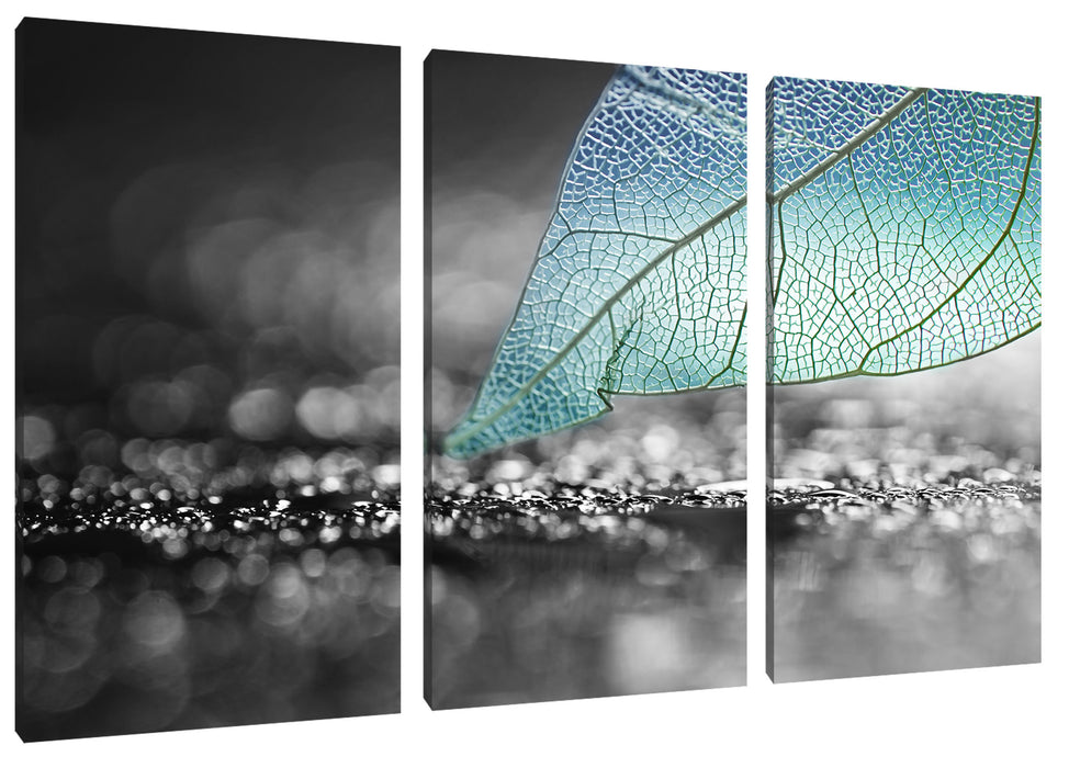 Nahaufnahme weißes Blattgerüst im Regen B&W Detail Leinwanbild 3Teilig