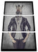 Zebrakopf Menschenkörper mit Lederjacke B&W Detail Leinwanbild 3Teilig